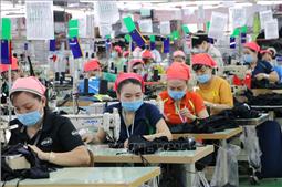 Thủ tướng ra Chỉ thị đôn đốc thực hiện nhiệm vụ sau kỳ nghỉ Tết Nguyên đán 